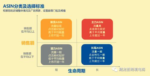 亞馬遜賣家進階指南 精通產品分類管理與工程管理服務